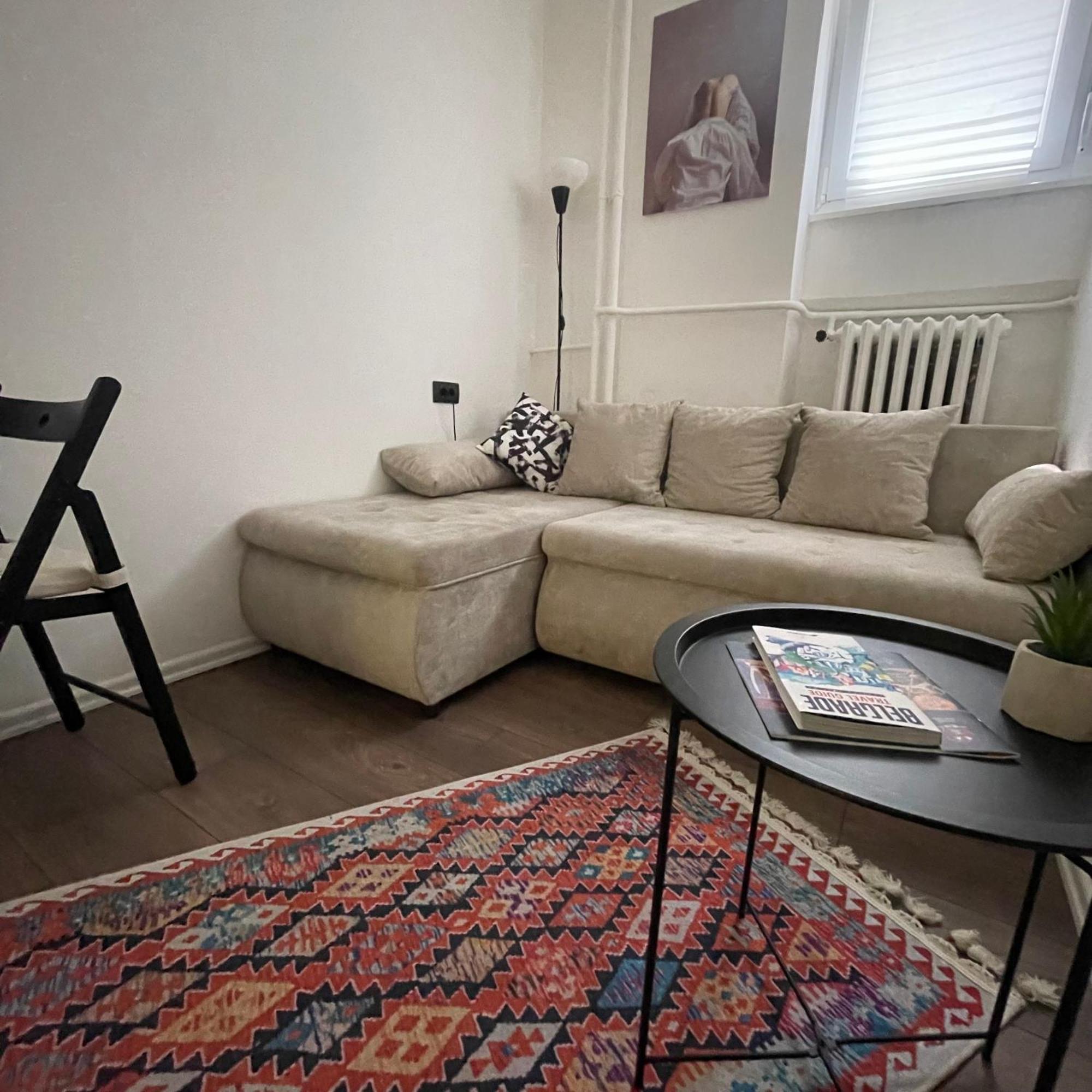 The Sljivka Apartment Belgrade Exterior photo